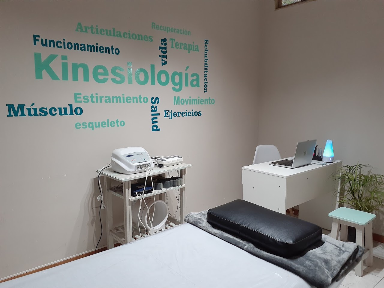 Consultorio de kinesiología y fisioterapia de la Lic. Ayelen Ferreira Veiga en Paraná